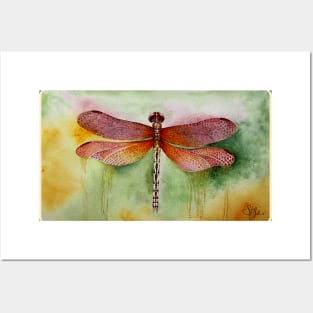 Sunset Dragonfly Posters and Art